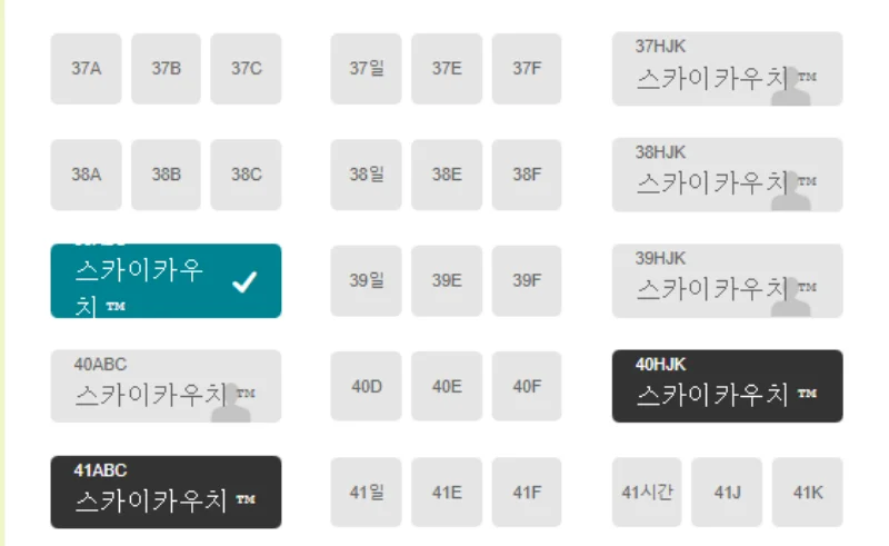 스카이카우치 좌석 선택