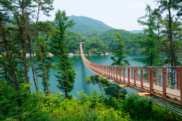 파주 마장호수 출렁다리 이미지