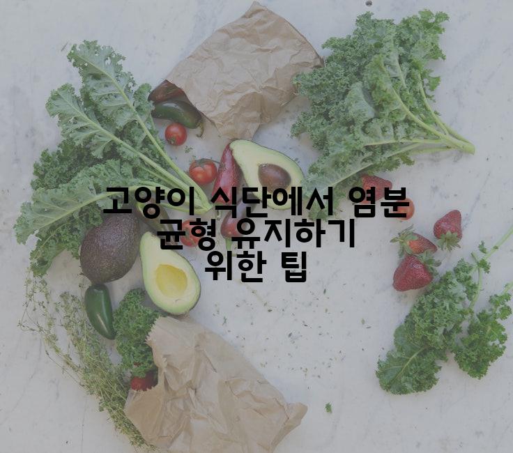고양이 식단에서 염분 균형 유지하기 위한 팁