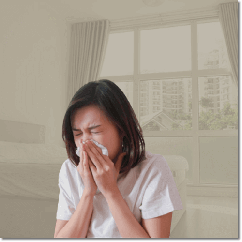 백리향 호흡기 건강