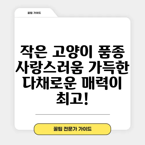 작은 고양이 품종 사랑스러움 가득한 다채로운 매력이 최고!