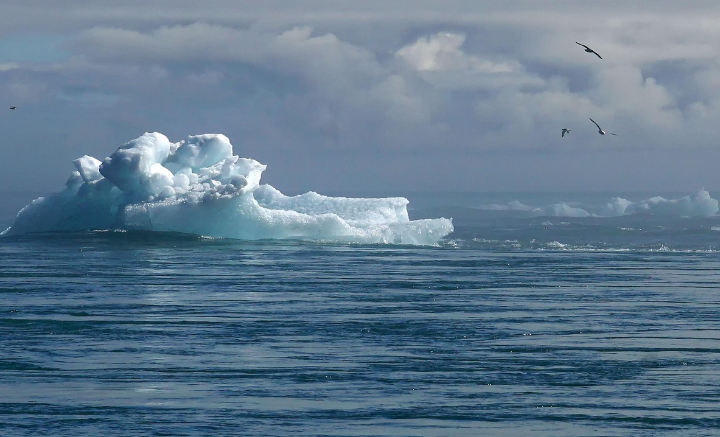 기후변화와 인간 심리: 환경심리학적 접근