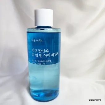 아이 있는 집 식물선택 가시없는종류 배치높이 관리 요령_8