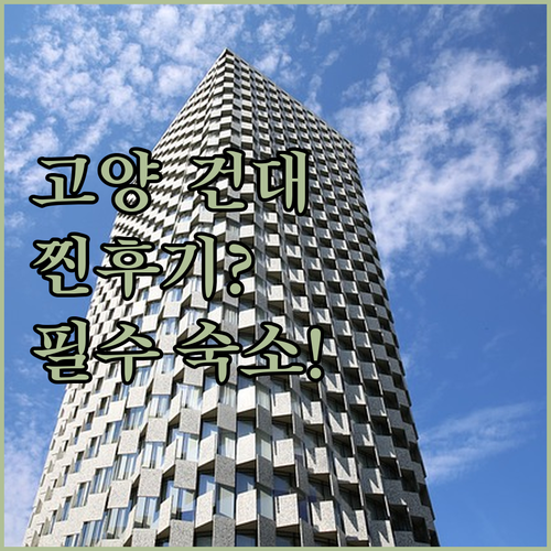 호텔 더 디자이너스 고양 호텔 유지 ..