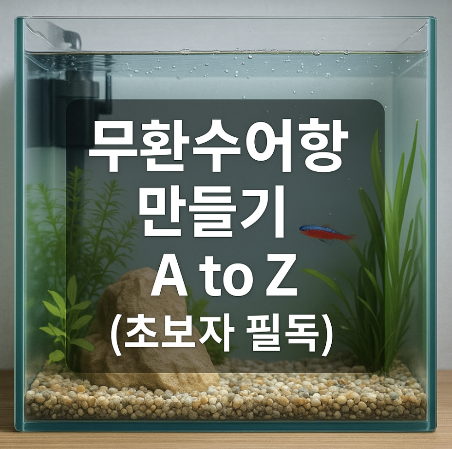 무환수어항 만들기 A to Z (초보자 필독)