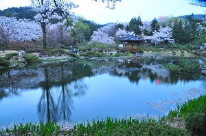 경주 가볼만한 곳 보문정