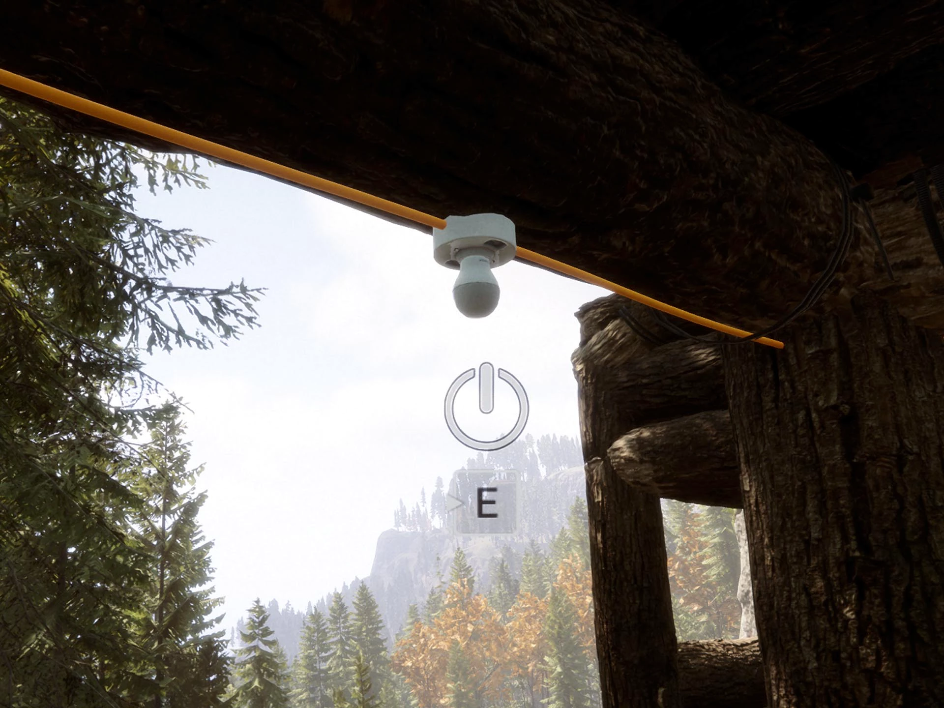 선즈 오브 더 포레스트 전구