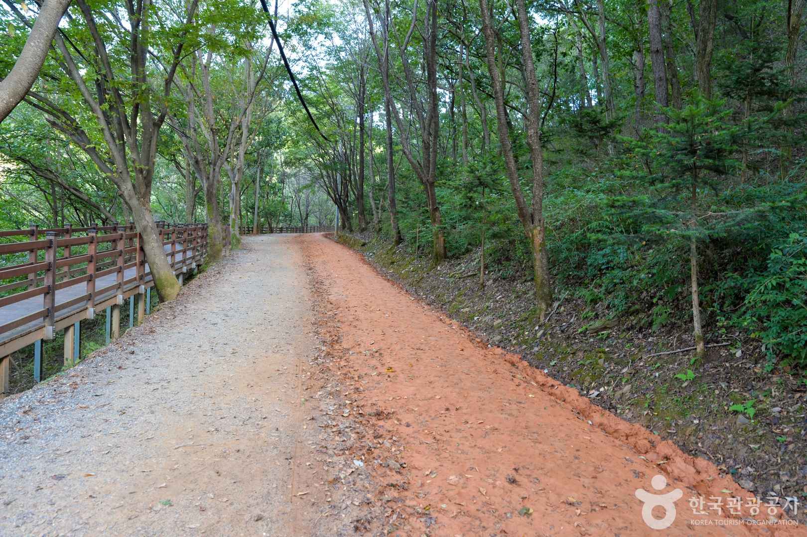 계족산 황톳길 트레킹 코스