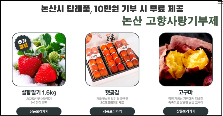 고향사랑기부제 사이트