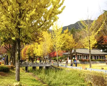 배론성지_5