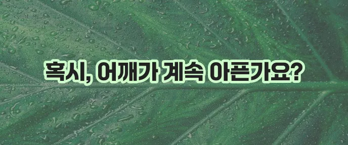 어깨통증 유발하는 주요 질환들을 알아봅시다!