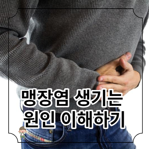 맹장의 위치