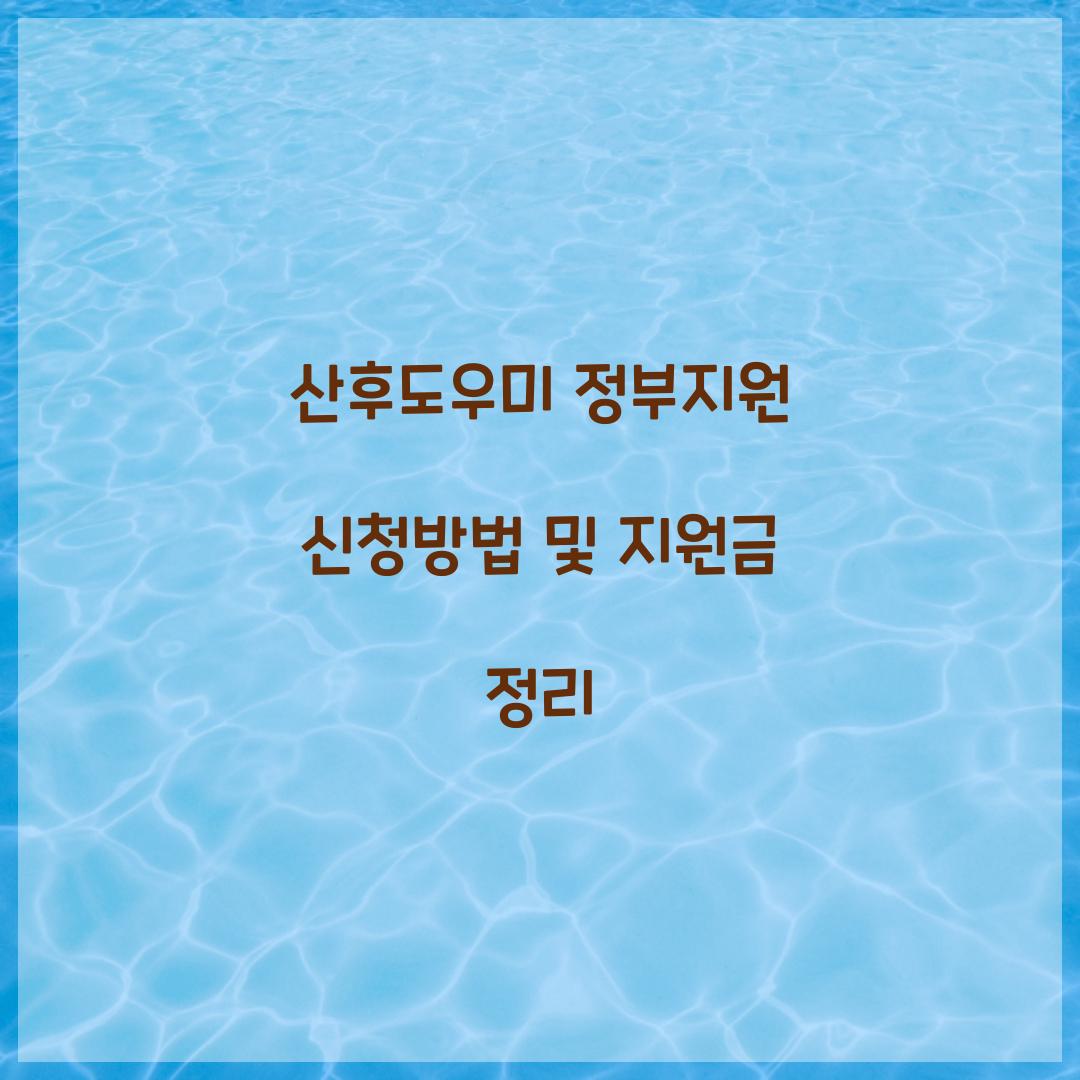 산후도우미 정부지원