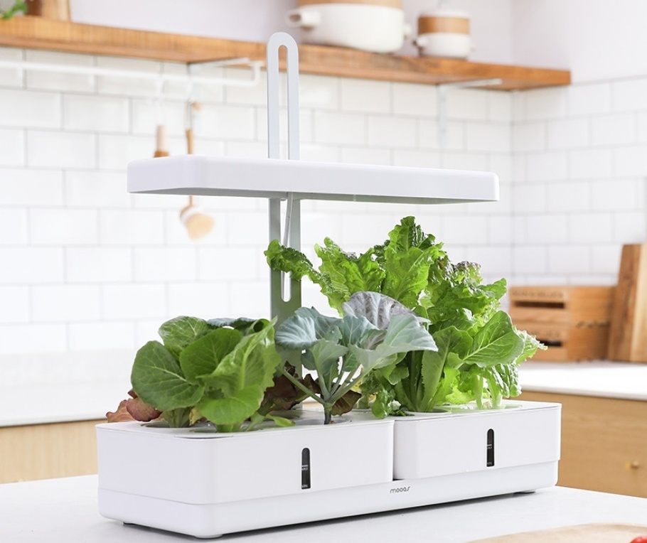 실내식물재배기