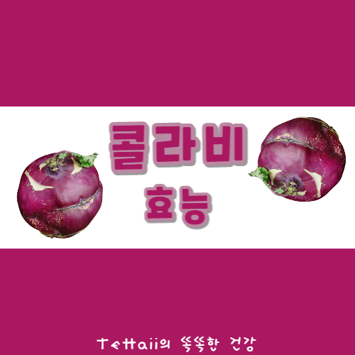 콜라비 효능 대표이미지