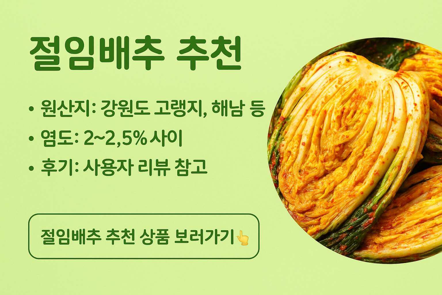 2025년 절임배추 추천 인포그래픽 &ndash; 강원도 고랭지&middot;해남산 절임배추, 염도 2~2.5%, 사용자 후기 기반 추천, 연두색 배경과 신선한 배추 이미지 포함