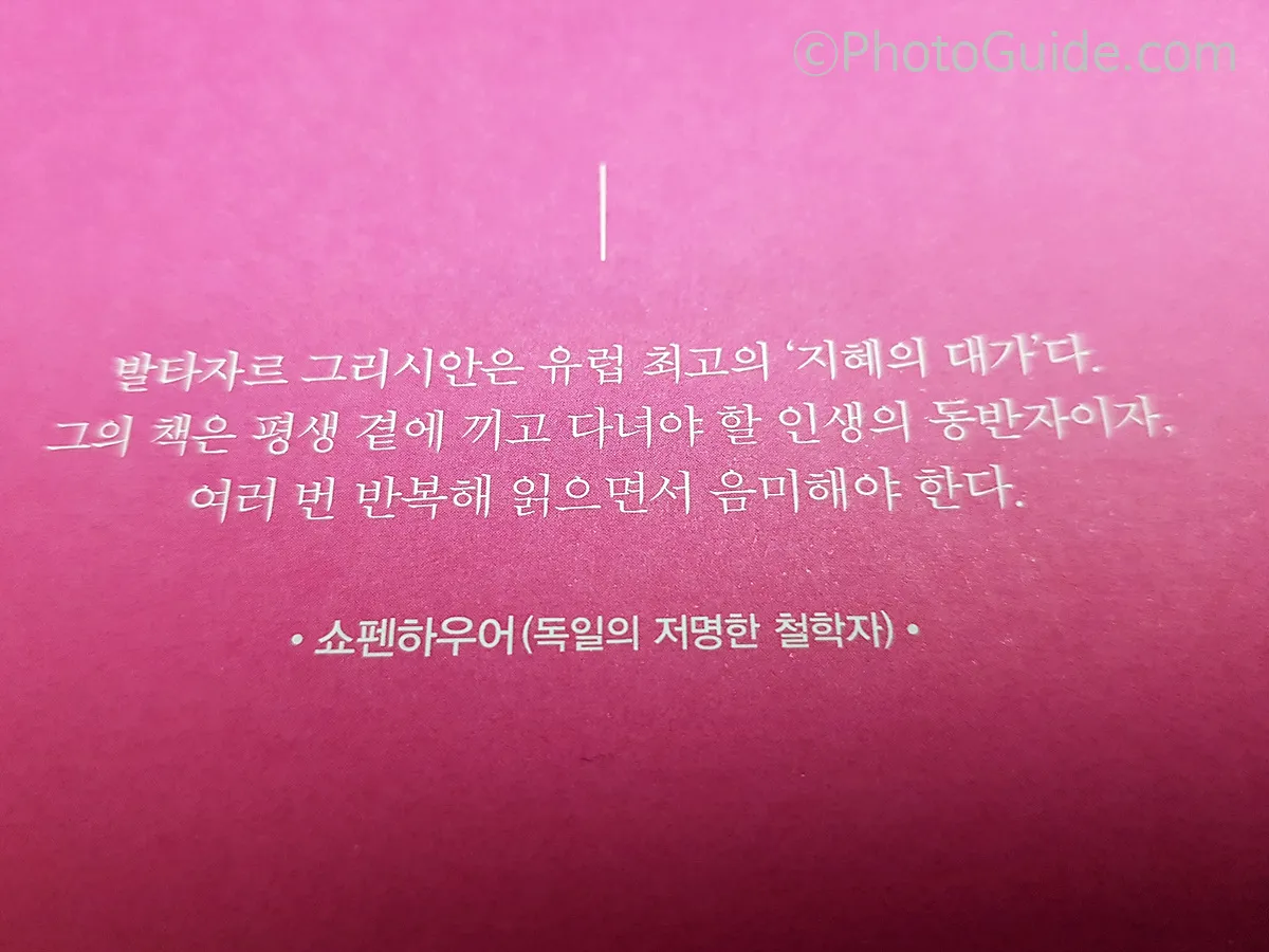 발타자르 그라시안의 인생 수업