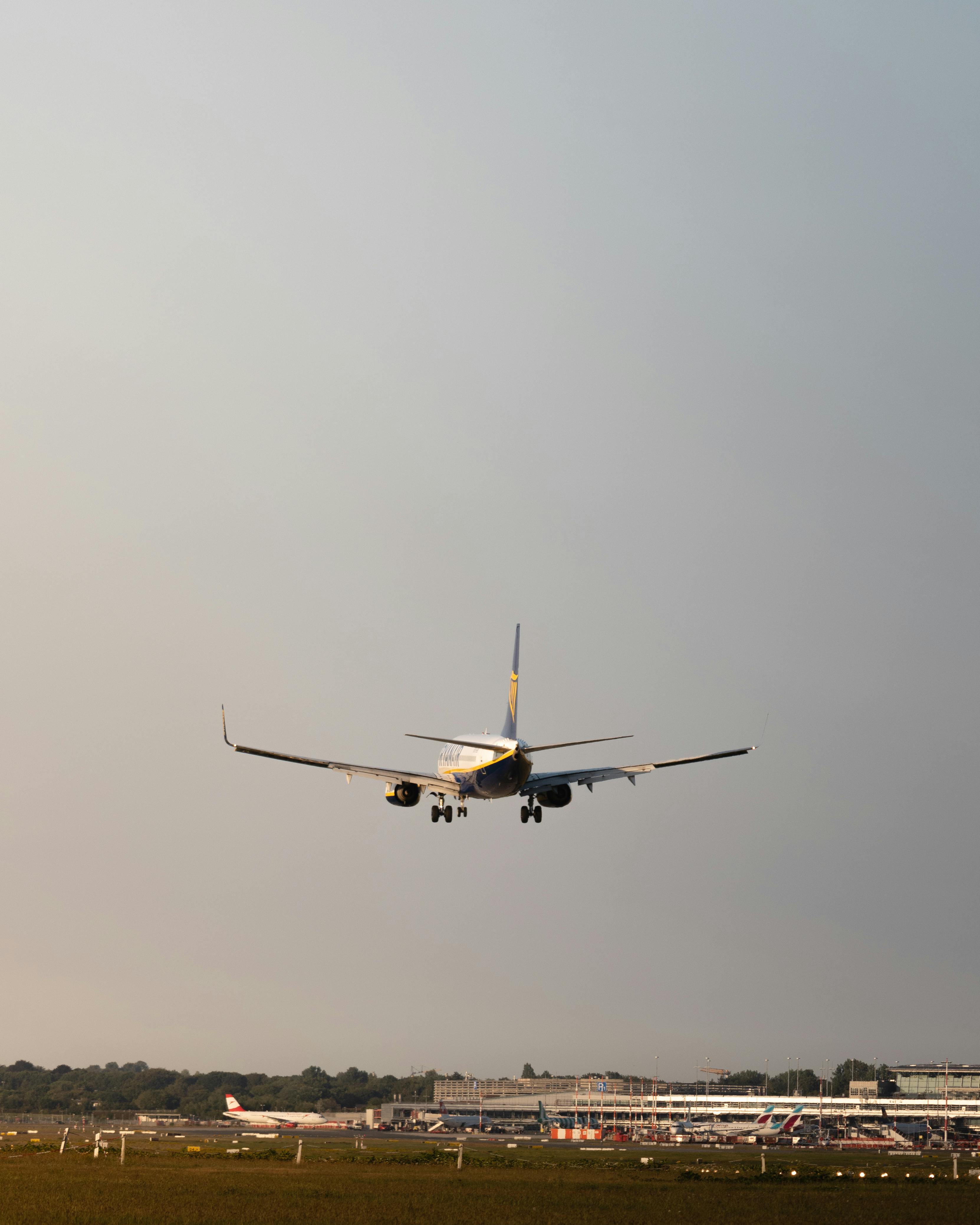 타오위안 공항 면세점 완벽 가이드: 위스키, 펑리수, 향수까지!