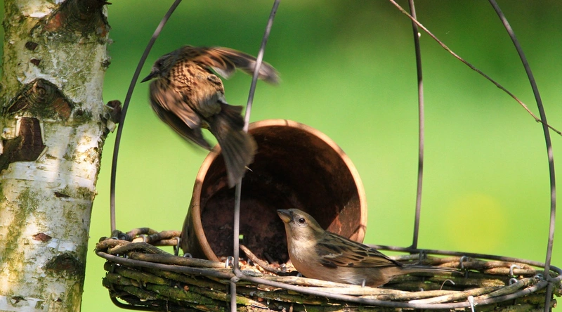 하도급 관리, 분쟁 예방과 계약서