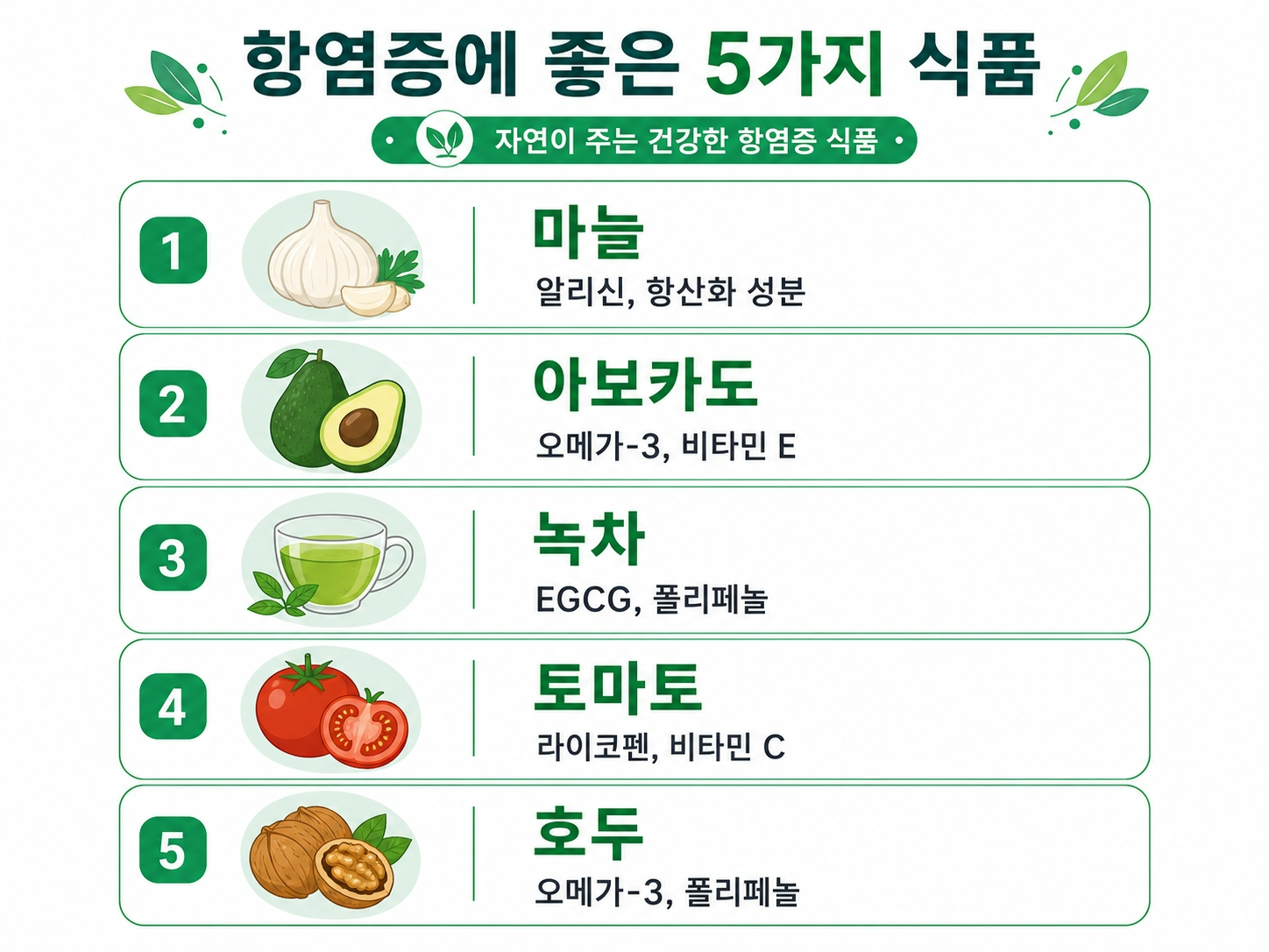 항염증 성분 인포그래픽 마늘 녹차 아보