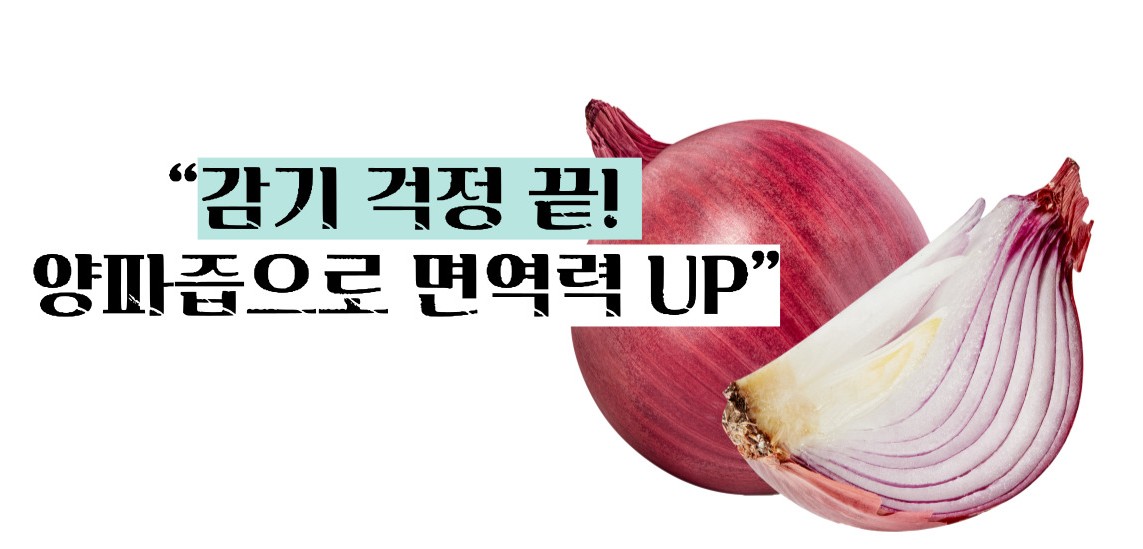 양파즙 효능 고혈압