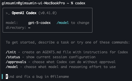 GPT5 Codex CLI 설치 후 codex명령어 입력한 화면