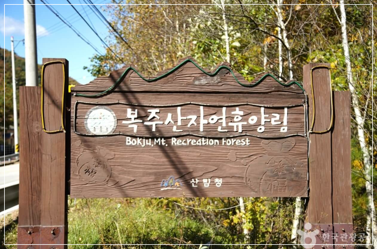 철원 가볼만한곳 베스트10 국립 복주산자연휴양림