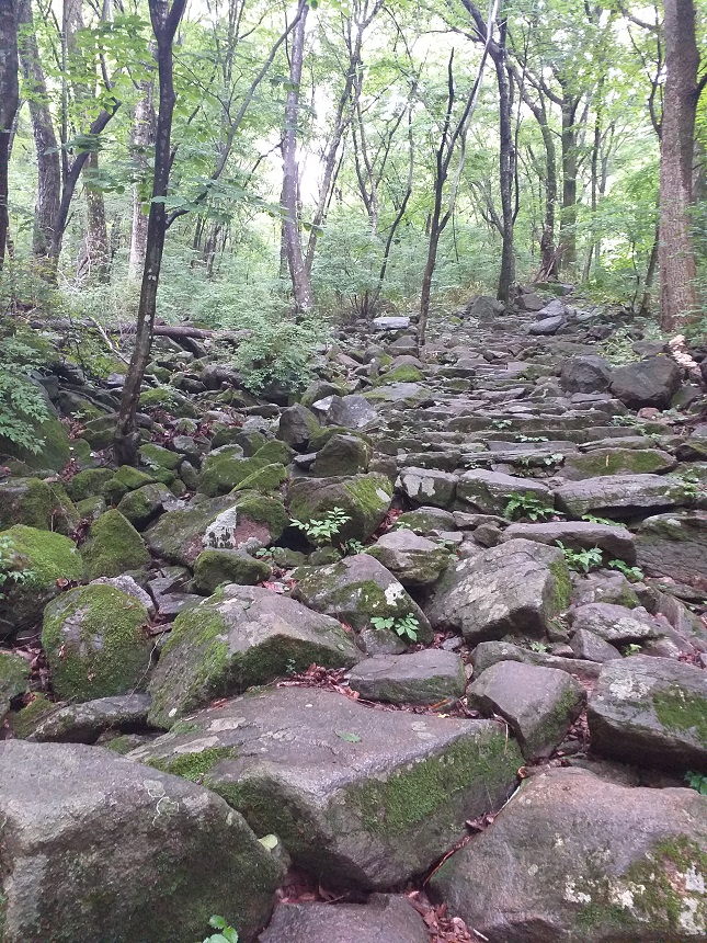 조계산보리밥집