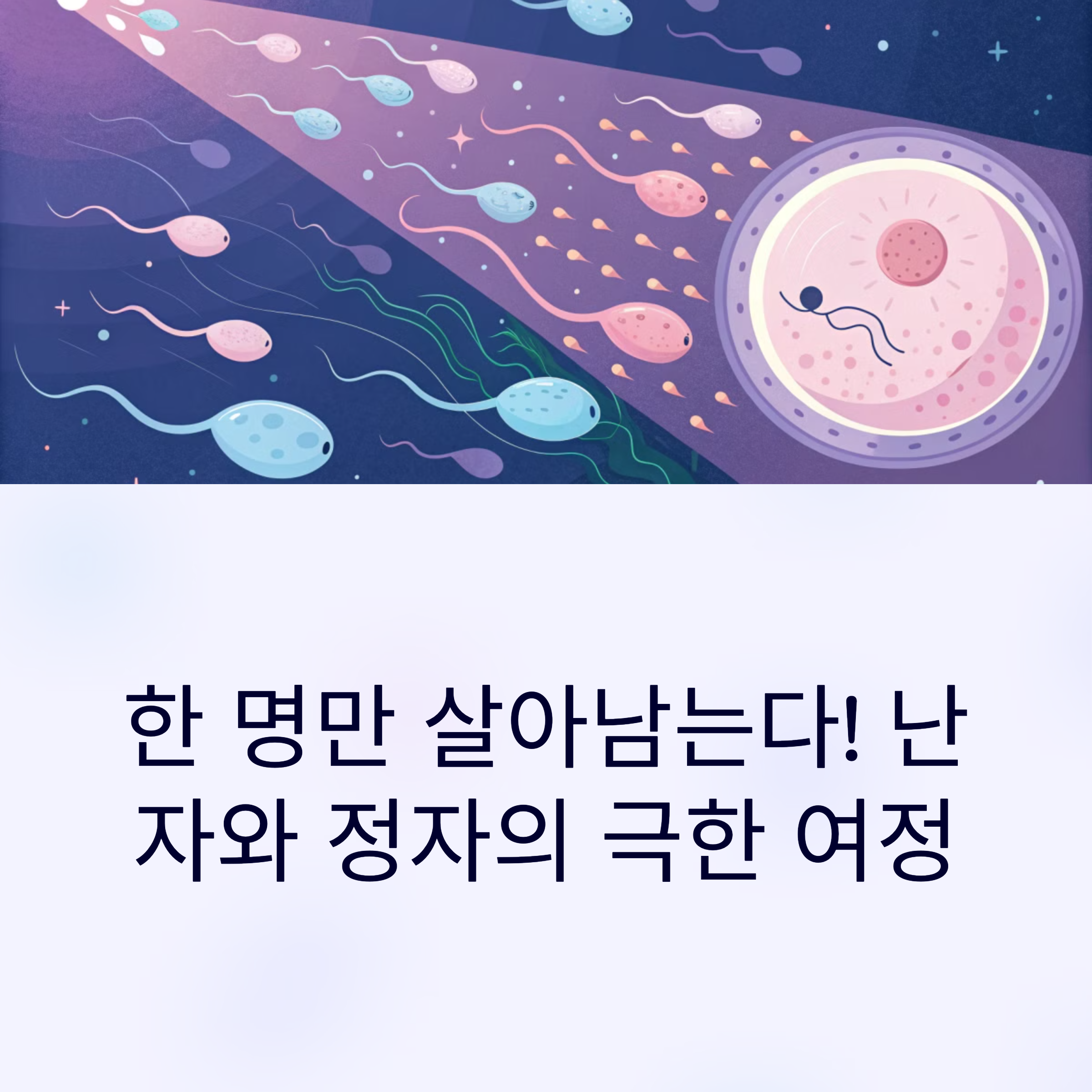 한 명만 살아남는다! 난자와 정자의 극한 여정-대표이미지