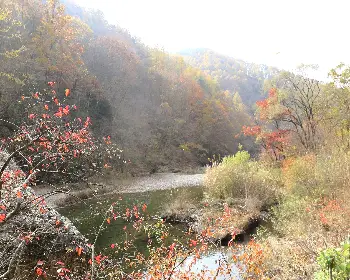 주왕산 국립공원 단풍_19