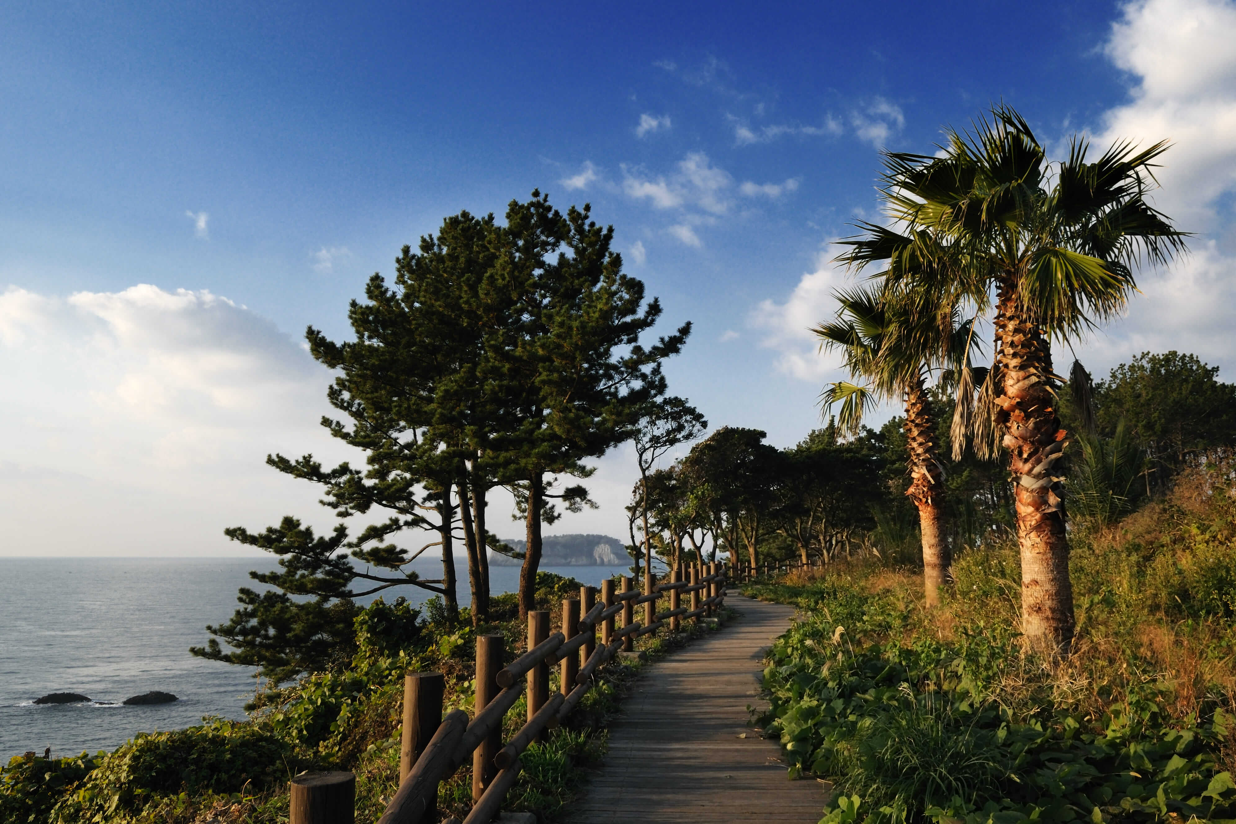 올레길 7코스 vs 10코스&amp;#44; 최고의 선택은? 🥾