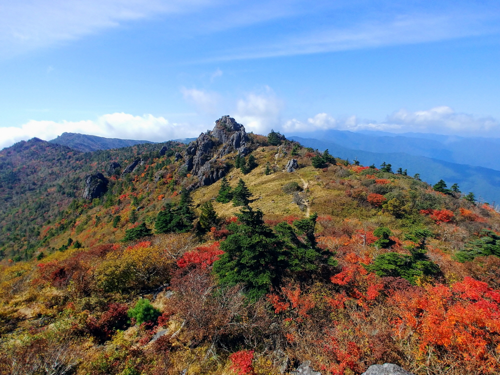 2020 단풍시기 명소