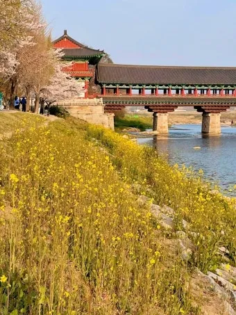 경주 가볼만한곳 베스트10 황리단길 대릉원 야경 산책로 추천_18