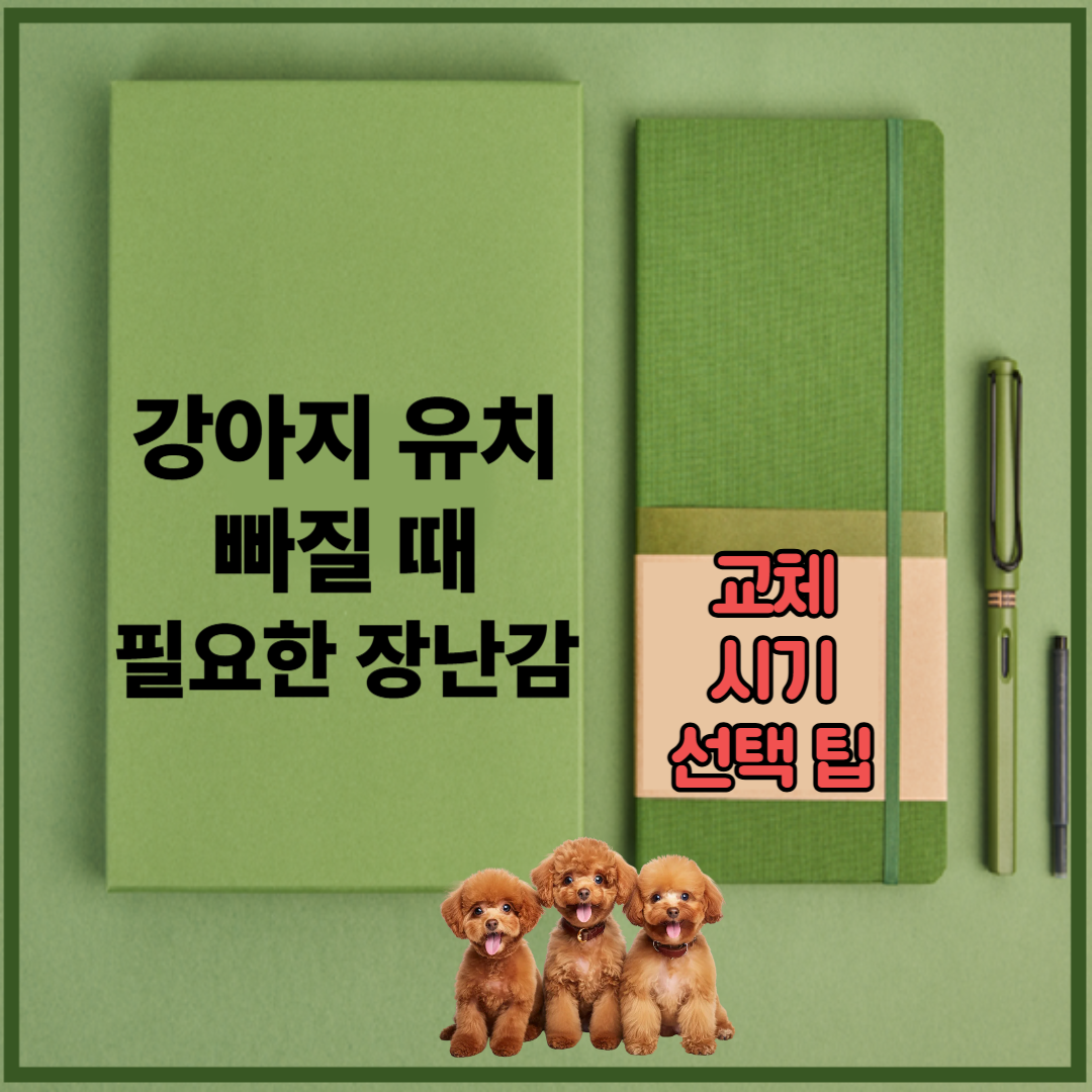 강아지 유치 빠질 때 필요한 장난감