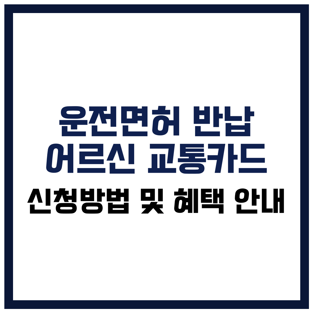 운전면허 반납 어르신 교통카드 신청방법 및 혜택 안내