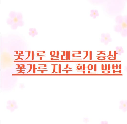 제목썸네일사진