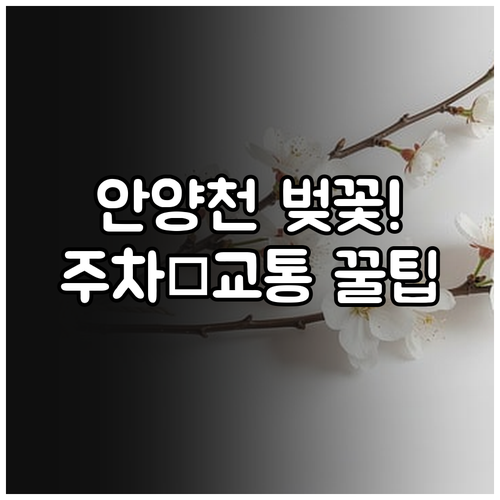 안양천 벚꽃 나들이 정보 개화 시점부..