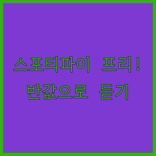 합리적인 비용으로 스포티파이 프리미엄..