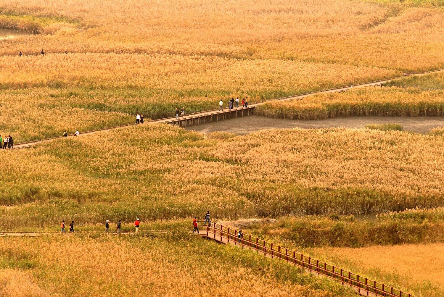 순천만 습지 용산전망대