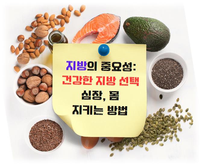 지방 중요성 건강한 지방 선택으로 심장과 몸을 지키는 방법