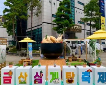 금산 삼계탕 축제_5