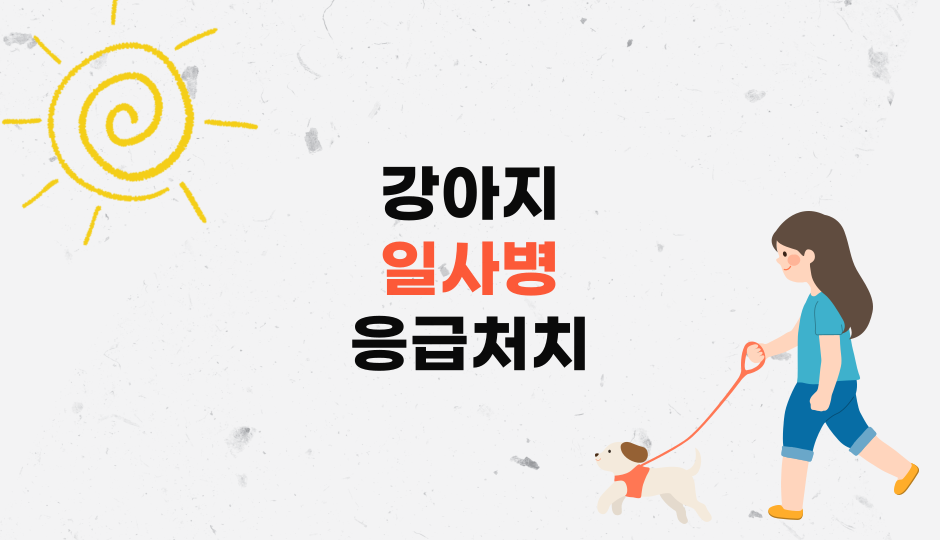 강아지일사병
강아지일사병대처방법