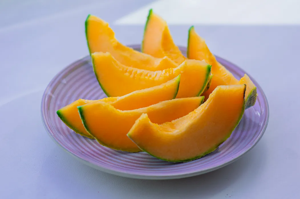 멜론-사진