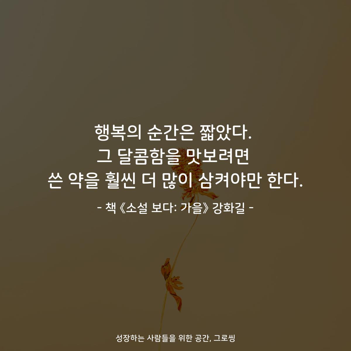 행복의 순간은 짧았다.
그 달콤함을 맛보려면
쓴 약을 훨씬 더 많이 삼켜야만 한다.