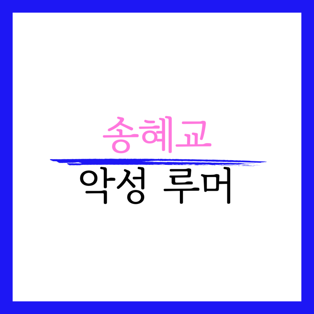 송혜교 악성 루머 나이 엄마 관리 비법