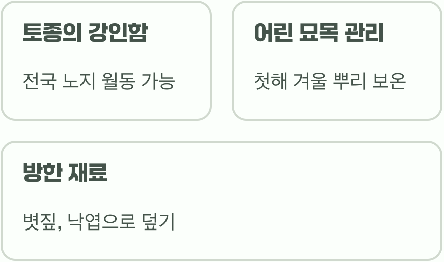 비결 5. 추운 겨울도 거뜬하게, '월동'