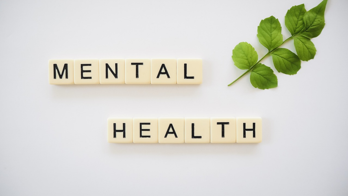 AI를 활용한 정신 건강 관리 시스템