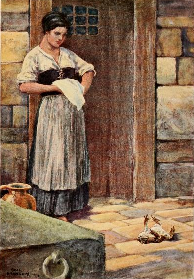 버드나무에-부는-바람-두꺼비-씨