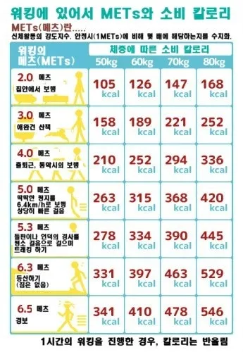 걷기 칼로리 계산기 걸음수 소비 칼로리_7