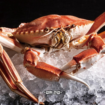 꽃게탕 손질법
